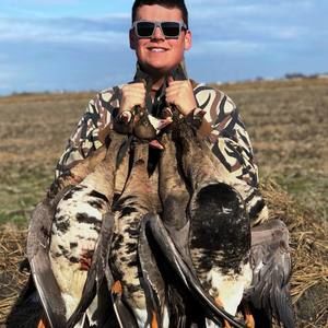 Meet your Posher, Gino